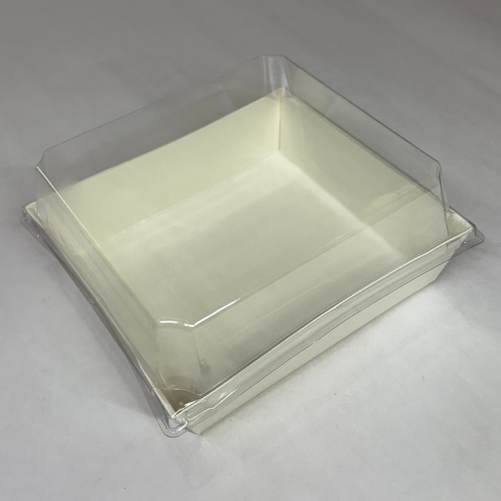 Transparent Bento Cake Box